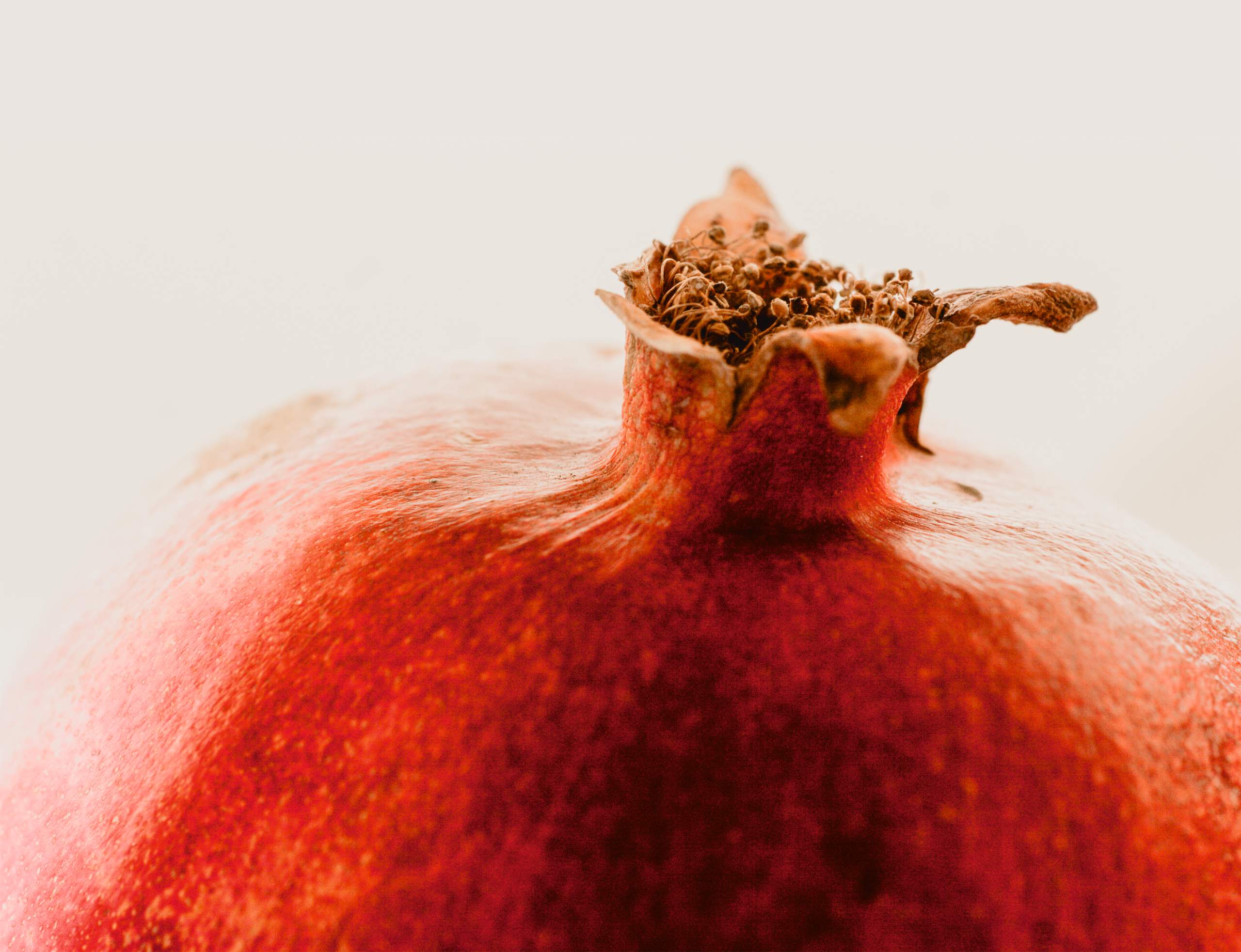 【Seasonal Pick！】初秋のおすすめアイテム ピックアップ