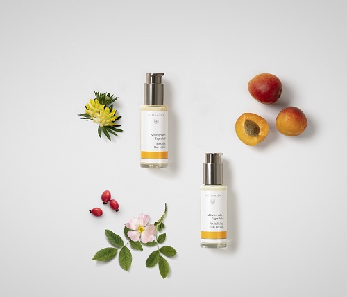 【3月24日(水) 新発売】デイミルク2種　新発売のご案内